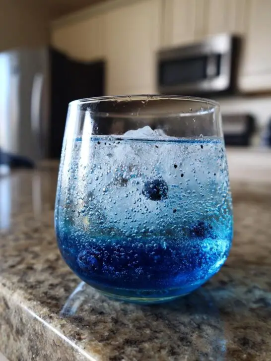 Blueberry Lemon Mocktail – Blueberry puree mixed with lemon juice and sparkling water.