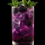 Blackberry Honey Spritz Mocktail