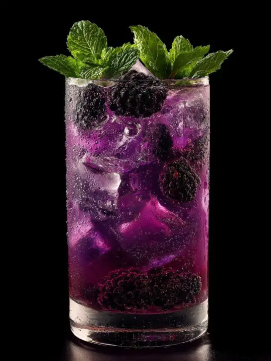 Blackberry Honey Spritz Mocktail