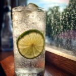 Gin Rickey Cocktail