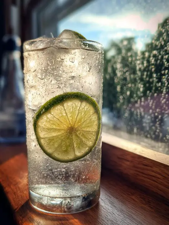 Gin Rickey Cocktail
