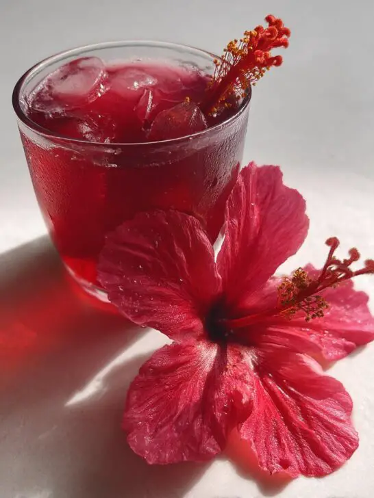 Hibiscus Berry Cooler