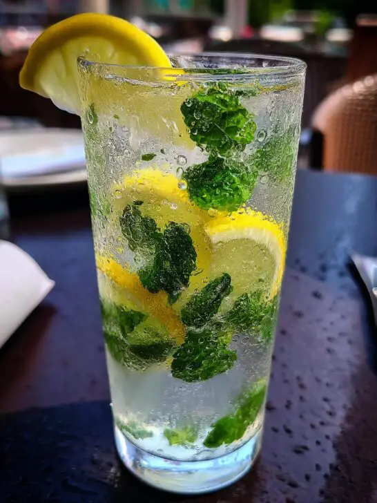 Minty Lemon Tonic Non-Alcoholic Cocktail