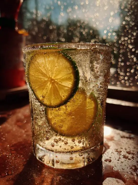 Trash Tiki Citrus Stock Mixer
