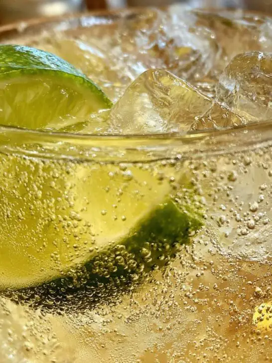 gin drink recipes