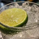 gin drinks recipes