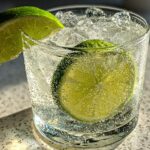 gin tonic drink recipes