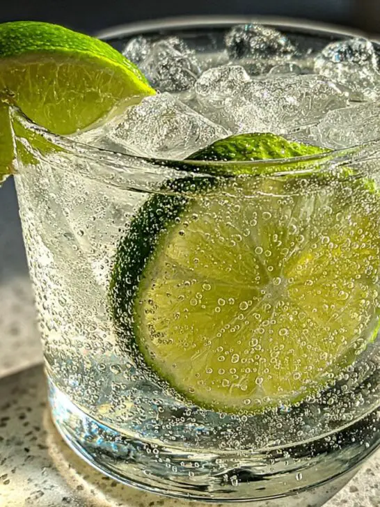 gin tonic drink recipes