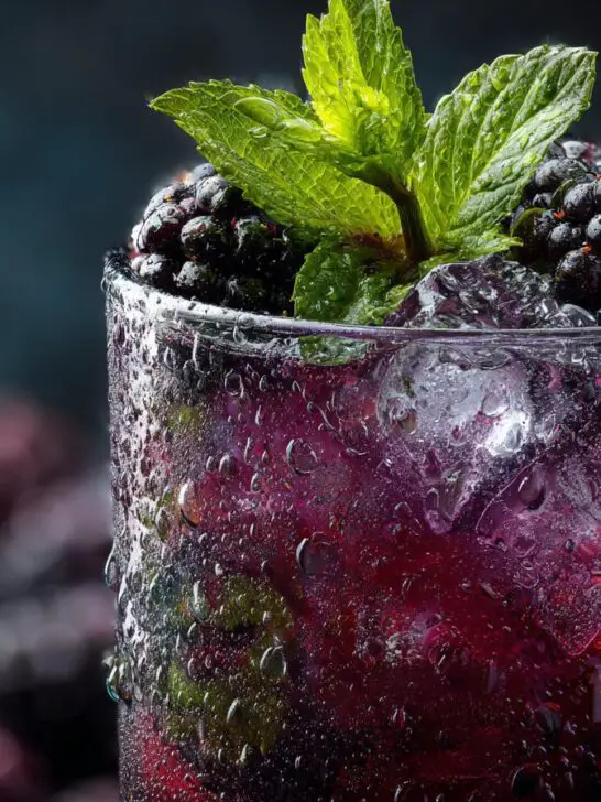 Halloween Chilling Blackberry Mojito