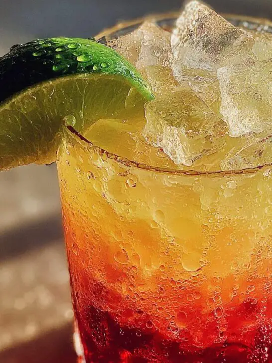 malibu rum drink recipes