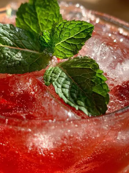 watermelon drink recipe