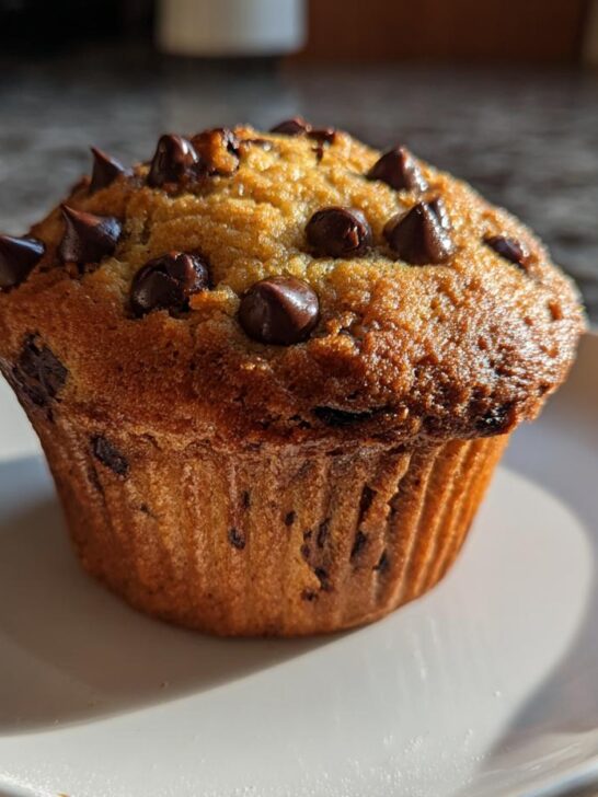 A single, perfectly baked Zucchini Chocolate Chip Muffin topped generously with melted chocolate chips, resting on a light plate.