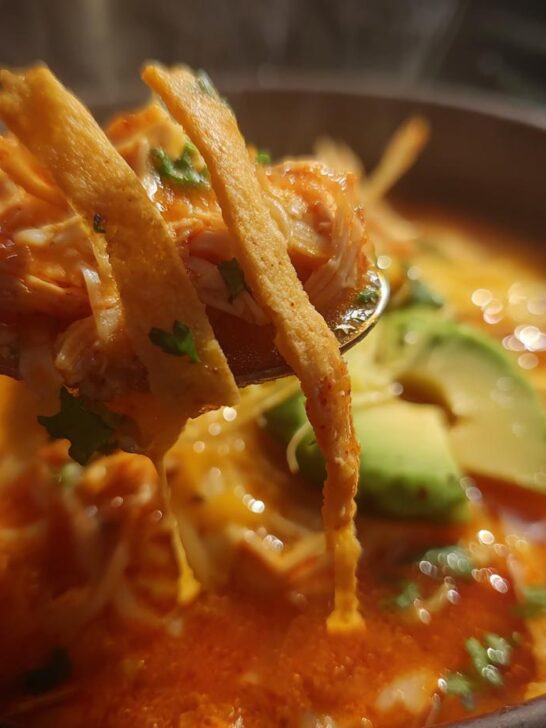 A spoonful of rich Chicken Tortilla Soup, loaded with shredded chicken and tortilla strips, lifted from the bowl.