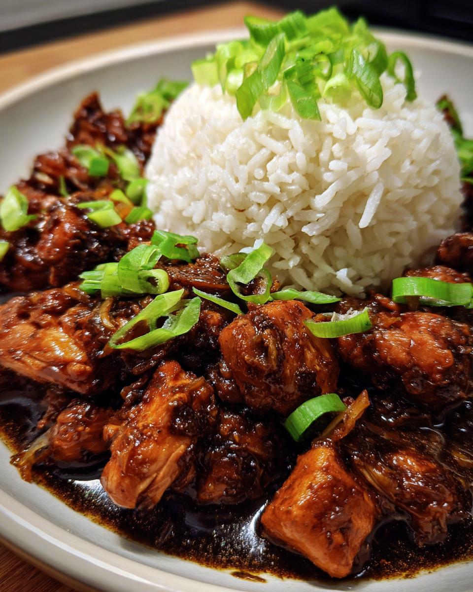 Close-up of Caramelised Soy Chicken In Garlic Ginger Broth served with fluffy white rice and topped with fresh green onions.